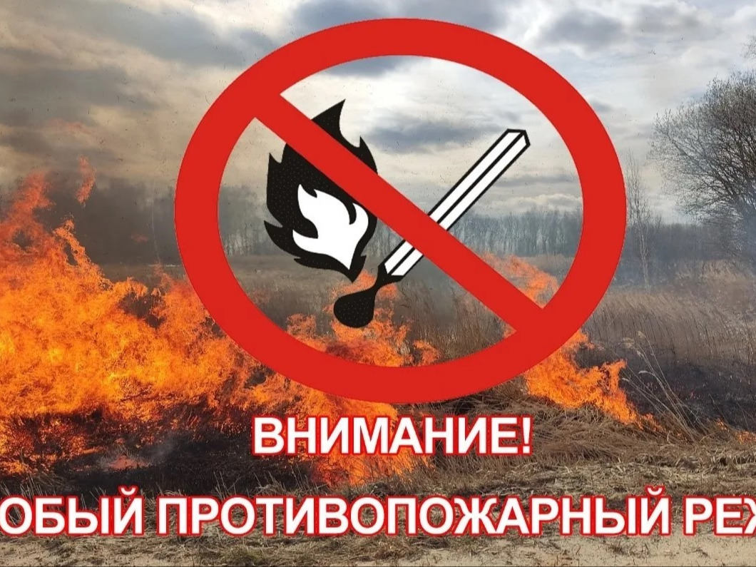 В МОРДОВИИ ДЕЙСТВУЕТ ОСОБЫЙ ПРОТИВОПОЖАРНЫЙ РЕЖИМ.